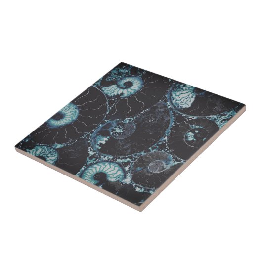 Nautilus midnite blue shell tegeltje (Zijkant)