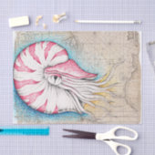 Nautilus Octopus Map Nautilus Tissuepapier (Craft)