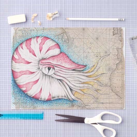 Nautilus Octopus Map Nautilus Tissuepapier (Craft)