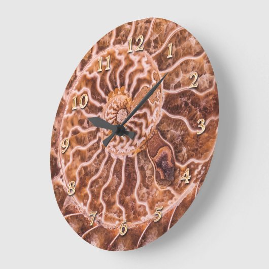 NAUTILUS OUDE SPIRAAL GROTE KLOK (Hoek)