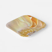 Nautilus Papier Bord (Gebogen)
