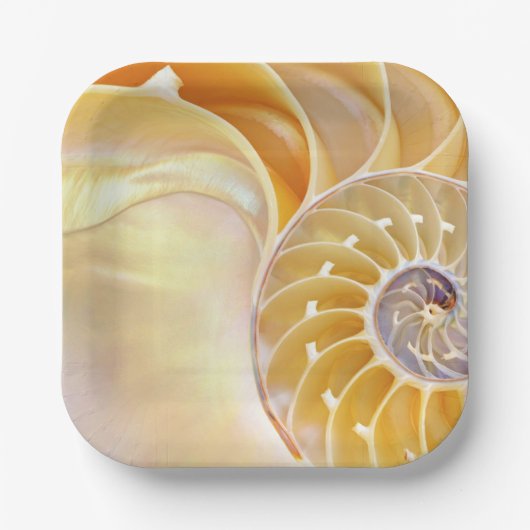 Nautilus Papier Bord (Voorkant)
