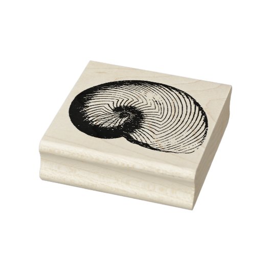 Nautilus Plicatus Shell  Rubber Art Stamp Rubberstempel (Stempel)