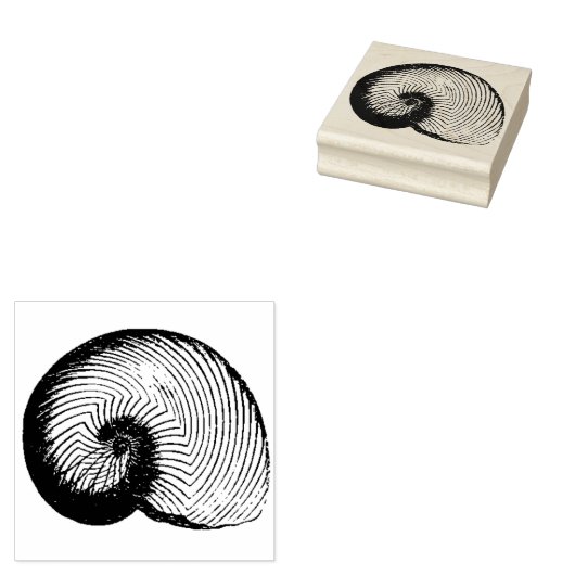 Nautilus Plicatus Shell Rubber Art Stamp Rubberstempel (Gestempeld)