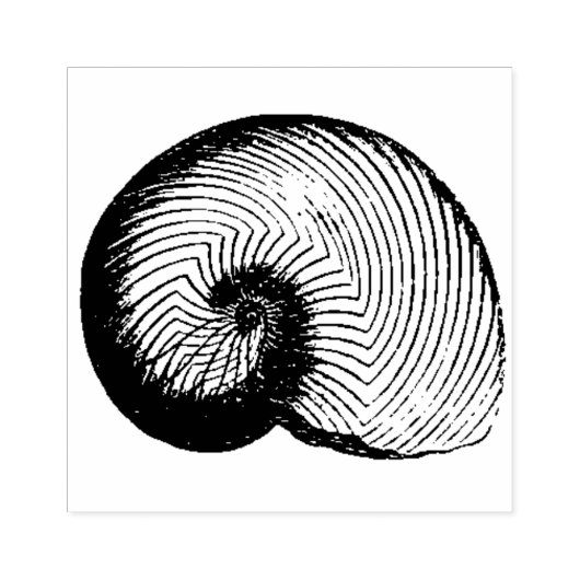 Nautilus Plicatus Shell Rubber Art Stamp Rubberstempel (Afrduk)