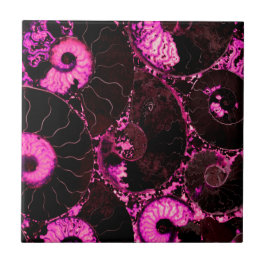 Nautilus roze shell tegeltje