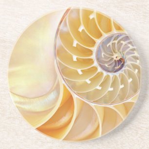 Nautilus Sandstone Onderzetter