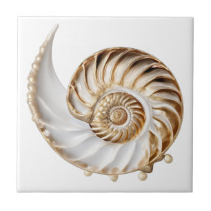 Nautilus schelp 3D parel goud glans oceaan nautisc Tegeltje