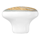Nautilus Schelp Nepparelmoer en Goud Keramische Knop (Zijkant)