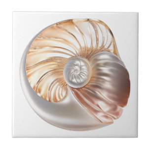 Nautilus schelp oranje parel 3D strand zee Tegeltje