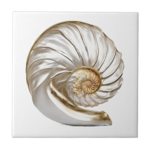 Nautilus schelp parel 3D strand zee nautisch Tegeltje