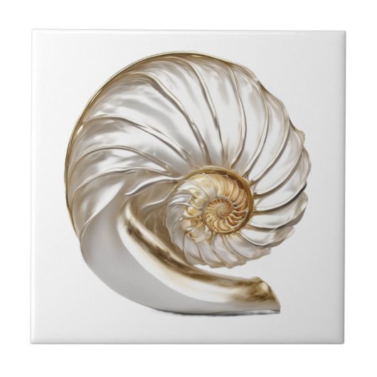 Nautilus schelp parel 3D strand zee nautisch Tegeltje (Voorkant)