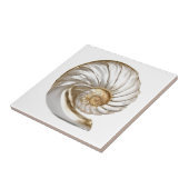 Nautilus schelp parel 3D strand zee nautisch Tegeltje (Zijkant)