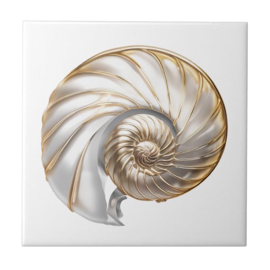 Nautilus schelp parel glans 3D strand zee Tegeltje (Voorkant)