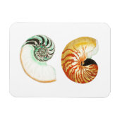 "NAUTILUS" SEALIFE SEASHELL FOTO MAGNET MAGNEET (Horizontaal)
