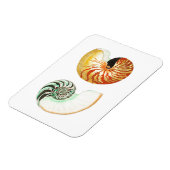 "NAUTILUS" SEALIFE SEASHELL FOTO MAGNET MAGNEET (Linkerzijde)