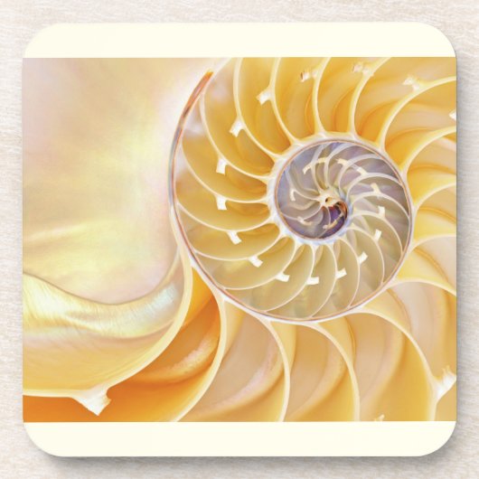 Nautilus Seashell Beverage Coaster Bier Onderzetter (Voorkant)