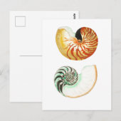 "NAUTILUS" SEASHELL-BRIEFKAART BRIEFKAART (Voorkant / Achterkant)