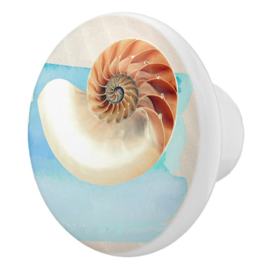 Nautilus Seashell en Zand Keramische Knop (Rechts)