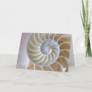 Nautilus Seashell  Golden Spiral Kaart