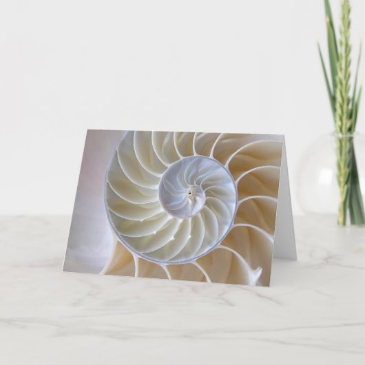 Nautilus Seashell| Golden Spiral Kaart (Voorkant)