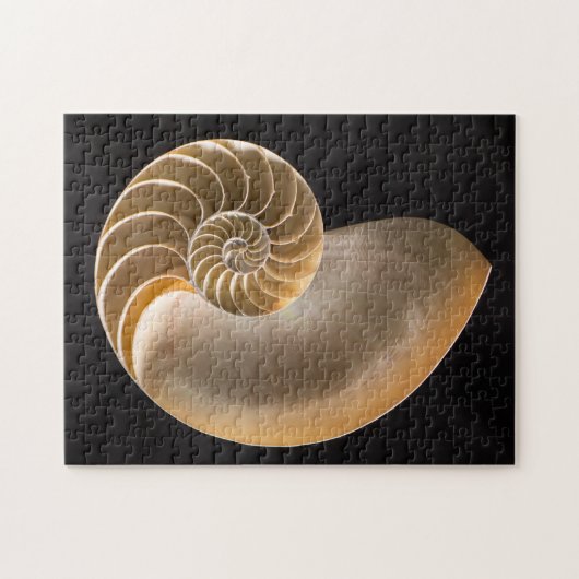 Nautilus Seashell Legpuzzel (Horizontaal)