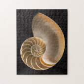 Nautilus Seashell Legpuzzel (Verticaal)
