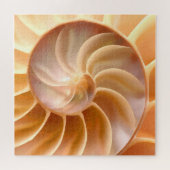 Nautilus Seashell Natuur Thema Puzzles for Adult Legpuzzel (Horizontaal)