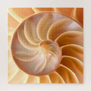Nautilus Seashell Natuur Thema Puzzles for Adult Legpuzzel