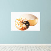 Nautilus seashell (Nautilus stenomphalus) Canvas Afdruk (Insitu (Houten vloer))