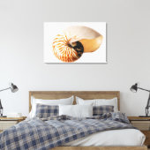 Nautilus seashell (Nautilus stenomphalus) Canvas Afdruk (Insitu (Slaapkamer))