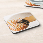 Nautilus seashell (Nautilus stenomphalus) Onderzetter (Linkerzijde)