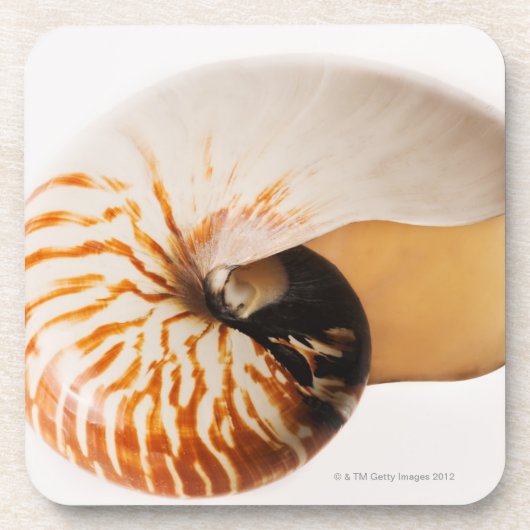Nautilus seashell (Nautilus stenomphalus) Onderzetter (Voorkant)