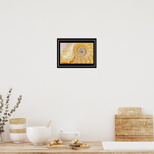 Nautilus seashell Poster (Keuken)