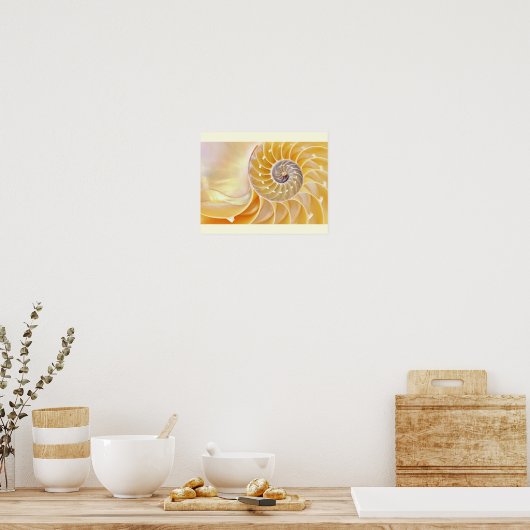 Nautilus Seashell poster (Keuken)