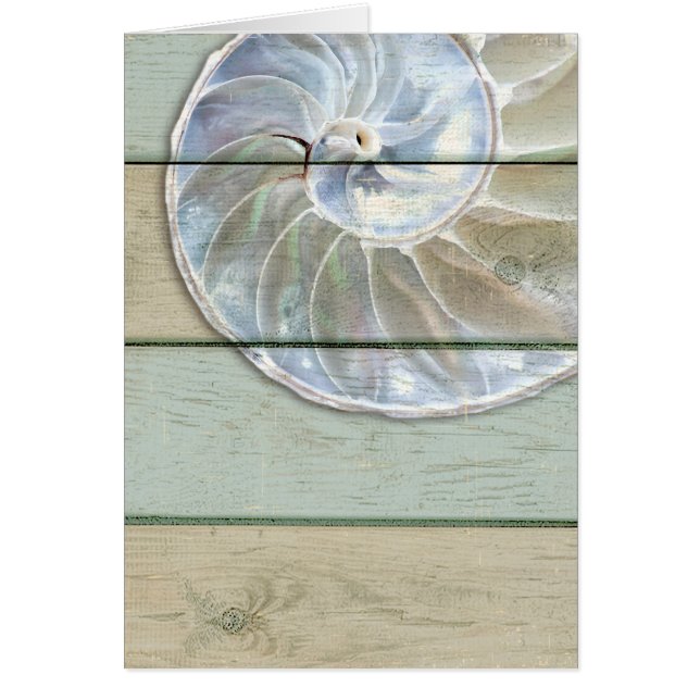 Nautilus Shell (Voorkant)