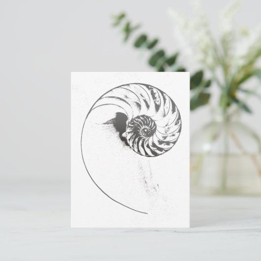 Nautilus shell 1 briefkaart (Staand voorkant)