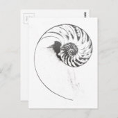 Nautilus shell 1 briefkaart (Voorkant / Achterkant)