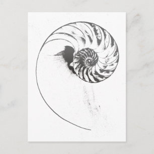 Nautilus shell 1 briefkaart