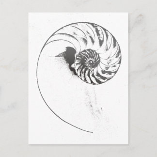 Nautilus shell 1 briefkaart