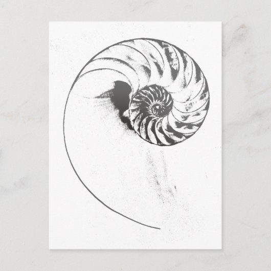 Nautilus shell 1 briefkaart (Voorkant)