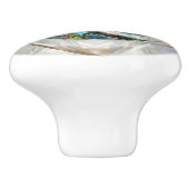 Nautilus Shell - Abalone en Pearl Keramische Knop (Zijkant)