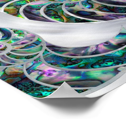 Nautilus Shell Abalone en Pearl Poster (Hoek)