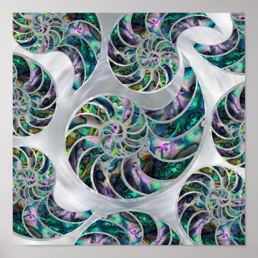Nautilus Shell Abalone en Pearl Poster (Voorkant)