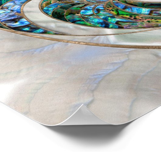Nautilus Shell - Abalone en Pearl Poster (Hoek)