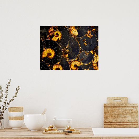 Nautilus shell abstract zee fossiel patroon poster (Keuken)