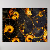 Nautilus shell abstract zee fossiel patroon poster (Voorkant)