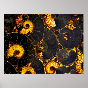 Nautilus shell abstract zee fossiel patroon poster