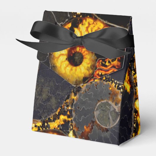 Nautilus shell bedankdoosjes (Voorkant Zijde)