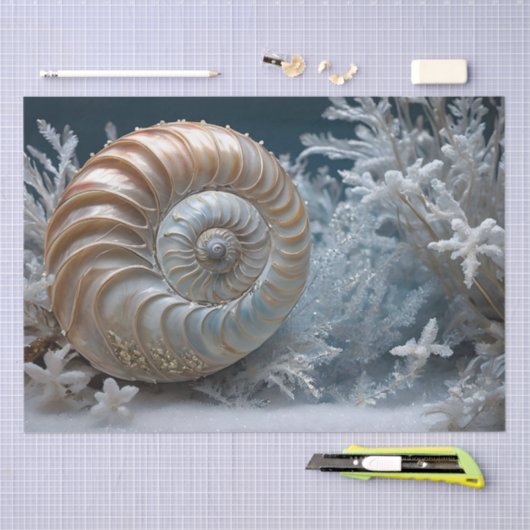 Nautilus Shell Binnen Decoupage Weefseldocument Tissuepapier (Craft)